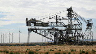 &Uuml;ber ein Drittel des erzeugten Stroms stammt aus Kohlekraftwerken