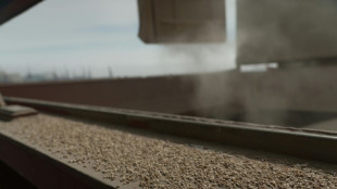 Prolongan dos meses el acuerdo de exportaci&oacute;n de granos ucranianos por el mar Negro