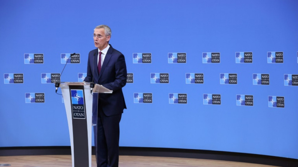 Unos 20 pa&iacute;ses de la OTAN alcanzar&aacute;n este a&ntilde;o la meta de inversi&oacute;n en defensa