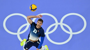Volley: les Bleus piochent mais r&eacute;ussissent leur entr&eacute;e
