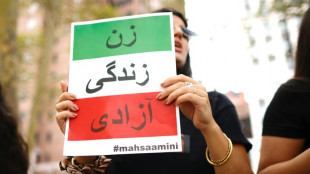 La represi&oacute;n de protestas en Ir&aacute;n comport&oacute; "cr&iacute;menes contra la humanidad", seg&uacute;n expertos de la ONU