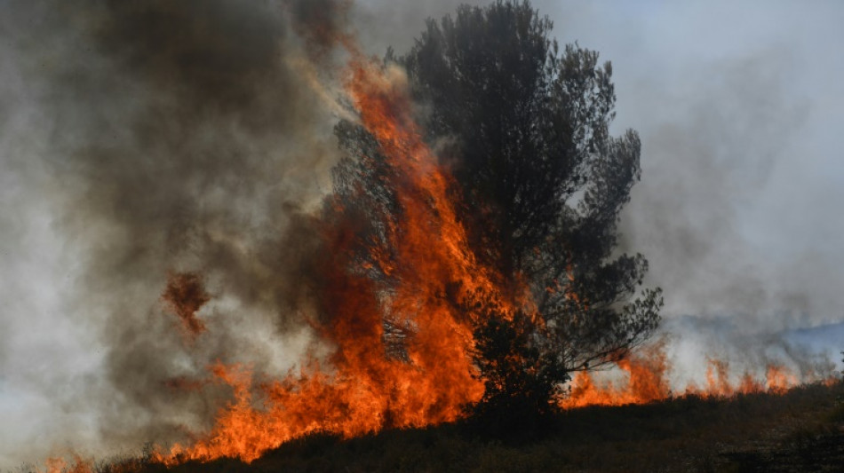 "Mobilisation" g&eacute;n&eacute;rale face &agrave; la canicule et aux incendies dans le sud de la France
