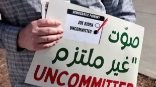 M&iacute;chigan env&iacute;a un mensaje a Biden con 100.000 votos de protesta