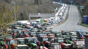 Agricultores franceses y espa&ntilde;oles se manifiestan juntos para alertar a la UE