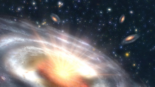 I campi magnetici attorno al buco nero M87* si sono ribaltati