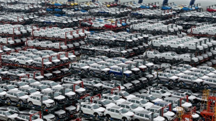 China legt WTO-Beschwerde gegen EU-Z&ouml;lle auf E-Autos ein