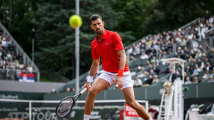 Roland-Garros: &agrave; quoi joue Djokovic ?