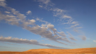Ar&aacute;bia Saudita recebe confer&ecirc;ncia mundial sobre desertifica&ccedil;&atilde;o