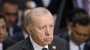 Erdogan, cooperazione con i Brics non &egrave; alternativa a Nato e Ue