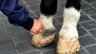 Hessischer Reitverein muss keine Behandlungskosten bei regelm&auml;&szlig;iger Vorsorge zahlen