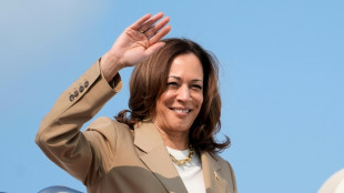 Harris reconnait &ecirc;tre l'"outsider" et appelle ses partisans &agrave; la mobilisation