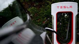 Rechtsextremes Image wegen Musk: Franz&ouml;sische Kunden verklagen Tesla