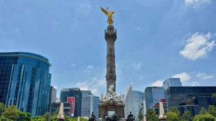 Llega a M&eacute;xico un empresario acusado de fraude extraditado por Argentina