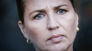 Ministro danese, attacco ibrido &egrave; opera di professionista