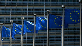 US economist renounces EU job after Macron doubts