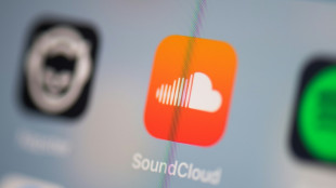 Sechs europ&auml;ische Staaten gehen gegen islamistische und rechtsextreme Musik vor