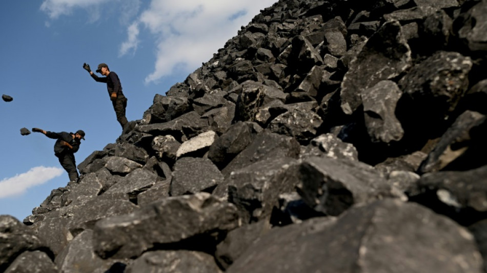 Las reservas de energ&iacute;as f&oacute;siles contienen 3,5 billones de toneladas de CO2