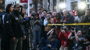 Dois guardas nacionais estão em 'estado crítico' após serem baleados perto da Casa Branca