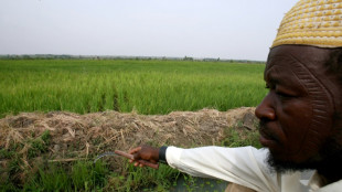 M&aacute;s de 16 millones de personas requieren ayuda humanitaria en la regi&oacute;n africana de Sahel central