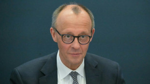 Merz: Trump erh&ouml;ht Risiko einer Finanzkrise 