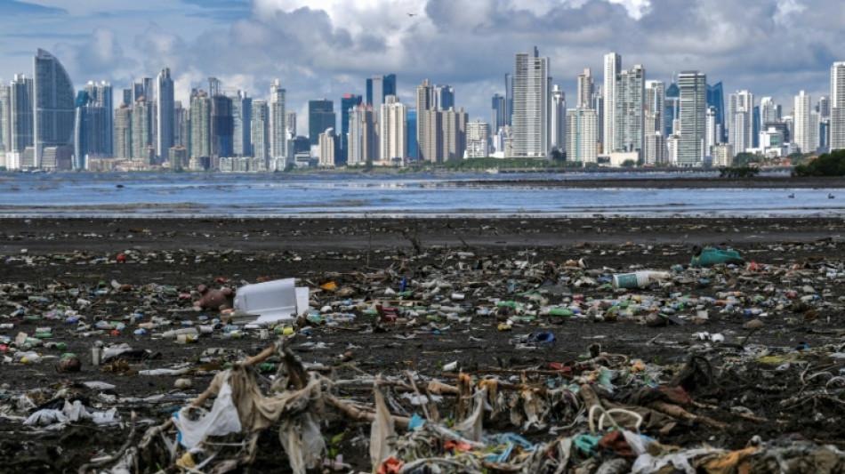 Nach Scheitern von UN-Plastikabkommen: Bundesregierung will weiter verhandeln