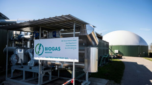 Alemania vuelve a fijarse en el biog&aacute;s para cortar lazos con Rusia
