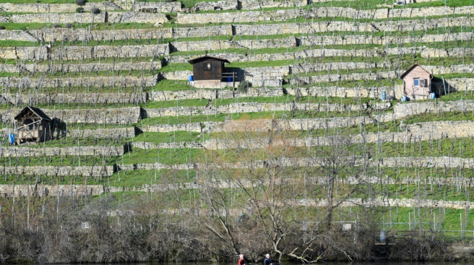 Keine &Ouml;lverschmutzung mehr auf Neckar bei Stuttgart
