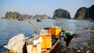 Vietnam: la beaut&eacute; de la baie d'Ha Long menac&eacute;e par les d&eacute;chets