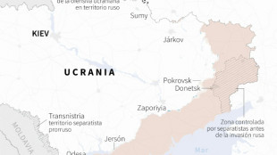 El ej&eacute;rcito ruso anuncia la toma de dos localidades en el este de Ucrania