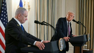 Trump's Gaza peace plan wins Netanyahu backing