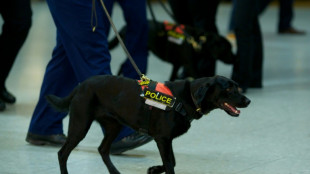 La polic&iacute;a londinense detiene a un sospechoso de introducir gas lacrim&oacute;geno en el aeropuerto de Heathrow
