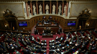 Immobilier, environnement: le S&eacute;nat continue d'imprimer sa marque sur le budget de l'&Eacute;tat