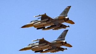 Tras la artiller&iacute;a y los tanques, Ucrania podr&iacute;a recibir aviones occidentales