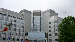 L'assistant d'un d&eacute;put&eacute; europ&eacute;en de l'AfD soup&ccedil;onn&eacute; d'espionnage pour P&eacute;kin
