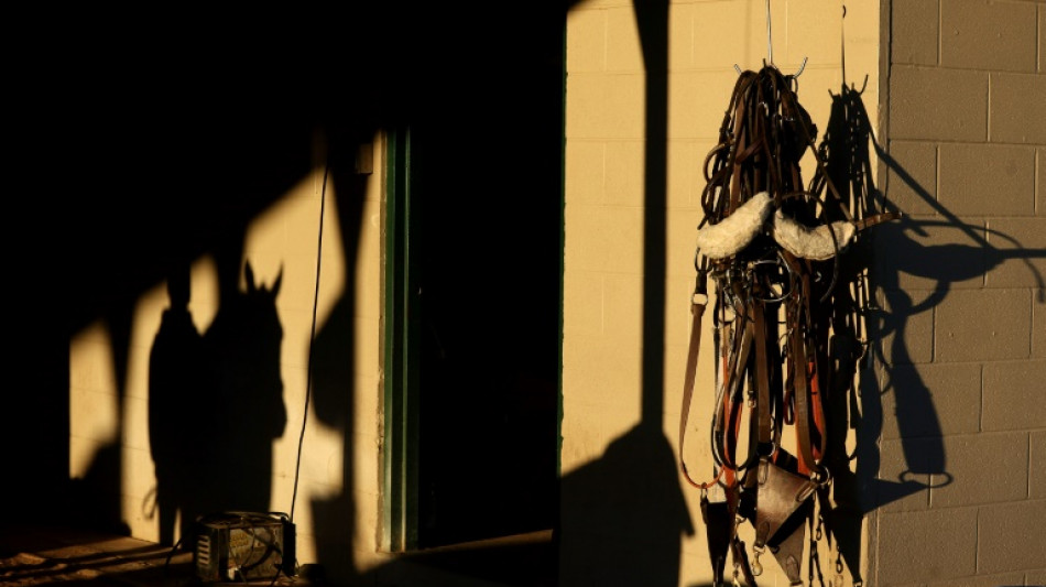 Churchill Downs horse deaths cloud Kentucky Derby build-up