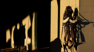 Churchill Downs horse deaths cloud Kentucky Derby build-up