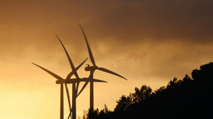 Studie: Erneuerbare Energien waren 2023 wichtigster Wachstumsmotor f&uuml;r China