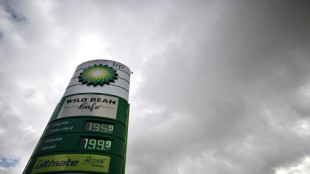 BP duplic&oacute; beneficios sin elementos excepcionales en 2022