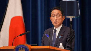 Japan plant Staatsbegr&auml;bnis im Herbst f&uuml;r Shinzo Abe