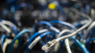 Fast jede und jeder Dritte h&auml;tte gern Glasfaser-Internet - bekommt aber keins