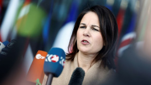 Baerbock ruft zum Auftakt von Klimadialog zu Ausbau von Erneuerbaren auf