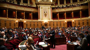 Retraites: le S&eacute;nat se penche sur l'emploi des seniors, forte mobilisation attendue mardi