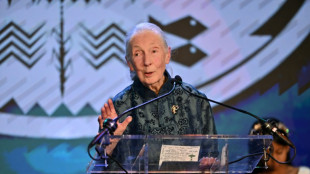 'Conservation giant': World reacts to Jane Goodall's death