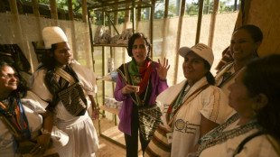 'Mochila' ind&iacute;gena causa frisson na 'Zona Verde' da COP16