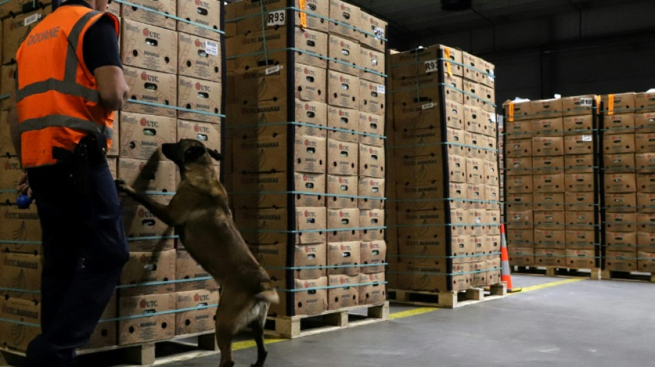 La investigaci&oacute;n de Sky ECC expuso los m&eacute;todos de los narcotraficantes en Europa