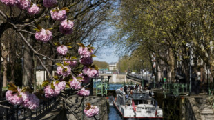 Paris vote son troisi&egrave;me plan biodiversit&eacute; en misant sur les haies