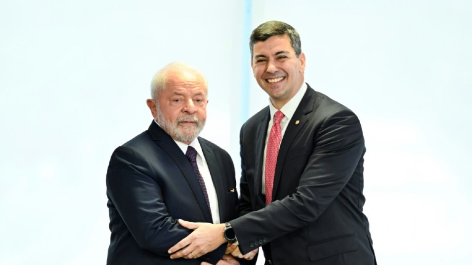 Paraguayo Pe&ntilde;a denuncia "duras" exigencias ambientales de UE a Mercosur