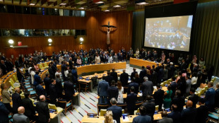 'N&atilde;o h&aacute; alternativa' &agrave; solu&ccedil;&atilde;o de dois Estados no conflito israelense-palestino, diz Fran&ccedil;a