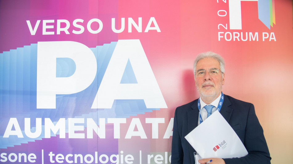 Chelli (Istat), Pa attiva sui temi del digitale, passi in avanti