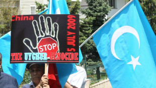 Cada vez m&aacute;s Estados reprimen a sus ciudadanos en el extranjero, denuncia Freedom House